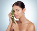 Portrait of beautiful woman holding aloe vera leaf for skincare routine. Caucasian model isolated against grey studio Royalty Free Stock Photo