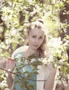 Portrait of the beautiful woman near a white bird cherry, vintage Royalty Free Stock Photo