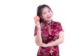 Portrait of Beautiful Young asian woman wear chinese dress traditional cheongsam or qipao. Eating red apple, Royalty Free Stock Photo