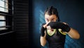 Portrait beautiful young boxing woman training punching in gym free space, copyspace