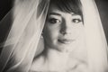 A portrait of beautiful young bride covered with a veil Royalty Free Stock Photo