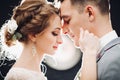 Gorgeous bride and handsome groom touching by faces each other. Royalty Free Stock Photo