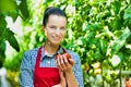 Beautiful young farmer holding tomato in greenhouse Royalty Free Stock Photo
