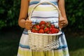 Portrait of beautiful young girl with basket of strawberries.