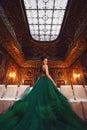 ÃÂ beautiful young girl standing in a haute couture green dress in a luxurious interior. Royalty Free Stock Photo