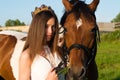 Portrait beautiful young girl with horse Royalty Free Stock Photo