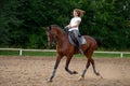 A girl rider trains riding a horse on a spring day