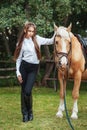 Portrait beautiful young girl in white shirt and black pants with beauty long hair next horse in forest. Fashionable elegance woma Royalty Free Stock Photo