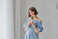 Portrait of a beautiful young pregnant woman in a blue dress Royalty Free Stock Photo