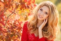 Portrait of beautiful young woman in autumn park. Royalty Free Stock Photo