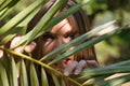 Portrait of beautiful young woman, blonde, blue eyes, looking through the leaves of a green palm tree. Beauty concept, plants, Royalty Free Stock Photo