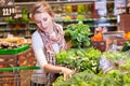 Portrait of beautiful young woman choosing green leafy vegetable Royalty Free Stock Photo