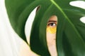 Portrait of beautiful young woman with golden patch under eye at green palm leaf, creative beauty photo. Girl with lifting anti- Royalty Free Stock Photo