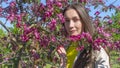 Portrait of beautiful young woman in paradise apple trees blooming park on a sunny day. Springtime. Red apple tree Royalty Free Stock Photo