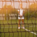 Portrait of beautiful young woman playing paddle tennis. Royalty Free Stock Photo