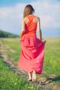 Portrait of a beautiful young woman in a red dress on a background of sky and grass in summer Royalty Free Stock Photo
