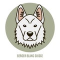 Portrait of Berger Blanc Suisse. Vector illustration