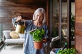 Portrait of beutiful mature woman taking care of plants on balcony. Spending free weekend at home. Royalty Free Stock Photo