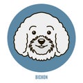 Portrait of Bichon. Vector illustration
