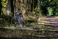 A portrait of a bicycle next to a dirt road in a forest. It is an old vintage bike standing in the grass in the woods