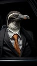 Portrait of a bird penguin businessman in a classic suit on a dark background