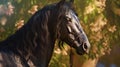 portrait of a black Arabian Stallion horse,generated with AI.