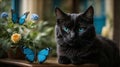 Portrait of a black cat with blue eyes and a butterfly. Royalty Free Stock Photo