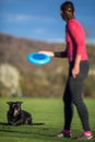 Portrait of a black dog outdoor Royalty Free Stock Photo