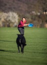 Portrait of a black dog running fast outdoors, playing with frisbee