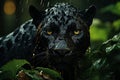 Portrait of a black panther, leopard with yellow eyes in the jungle. Generated by artificial intelligence Royalty Free Stock Photo