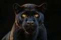 A portrait of a black panther set against a black backdrop, created using modern. Royalty Free Stock Photo