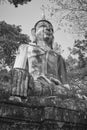 Portrait Black and White Front Right Meditation Buddha Statue in Forest