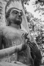 Portrait Black and White Low Angle Zoom View Buddha Statue on Forest Background