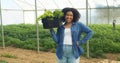 Portrait of Black woman farmer smiling and holding crate of vegetables on farm Royalty Free Stock Photo