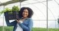 Portrait of Black woman farmer smiling and holding crate of vegetables on farm Royalty Free Stock Photo