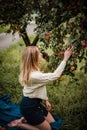 Portrait of blonde woman taking a red apple from tree during a picnic on family garden on a warm autumn evening Royalty Free Stock Photo