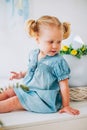 Portrait of blondel little girl in blue dress and two ponytales in light room. Easter, spring.