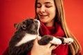 Portrait of blondy teenage girl in a red sweater holds a cat on her hand. Beautiful smiling girl with her pet Royalty Free Stock Photo