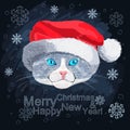 Portrait of blue-eyed cat in the hat of Santa Clau