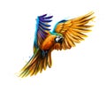 Portrait blue and yellow macaw in flight from a splash of watercolor. Ara parrot, Tropical parrot