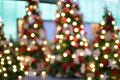 Blurred Christmas Trees With Illuminating Lights Outdoors