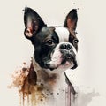 Portrait of a Boston Terrier dog, digital watercolor painting Royalty Free Stock Photo