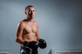 Portrait of boxer in Boxing gloves on gray background