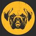 Portrait of Boxer Dog. Hand-drawn illustration. Royalty Free Stock Photo