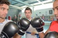 portrait boxer sparring with friend