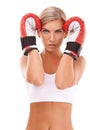 Portrait, boxer or sports woman in fitness training, workout or exercise in studio with motivation, pride or focus. Face