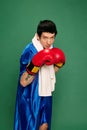Portrait of boxer in uniform posing over green background. Concept of sport, competition, training, energy Royalty Free Stock Photo