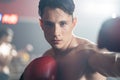 Portrait of Boxer wear boxing gloves, look at camera in fitness gym. Active Caucasian attractive sportsman fighter athlete workout