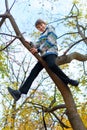 Portrait of a boy in an autumn park. The child climbed a tree and playing