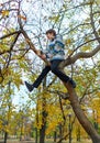 Portrait of a boy in an autumn park. The child climbed a tree and playing